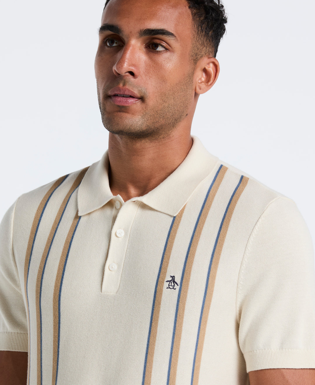 Cotton Vertical Stripe Sweater Polo (Birch) 