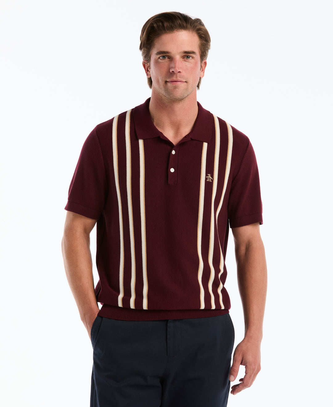 Cotton Vertical Stripe Sweater Polo (Port Royale) 