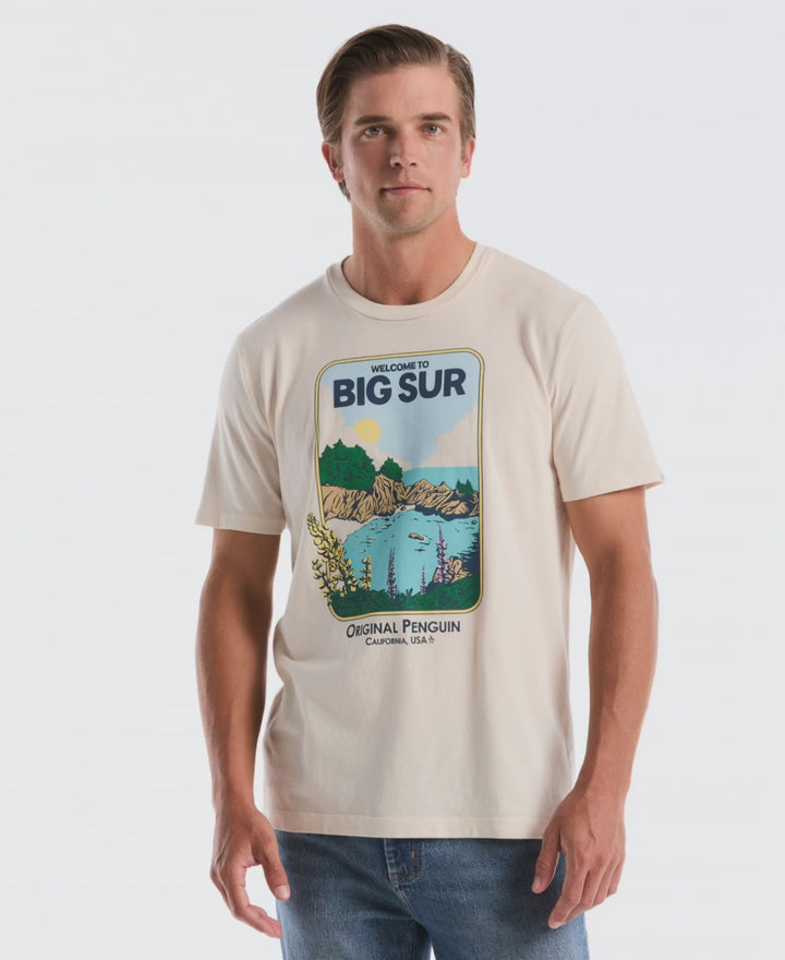 Big Sur Graphic Tee