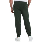 Big & Tall Organic Cotton Fleece Logo Pant (Deep Forest) 